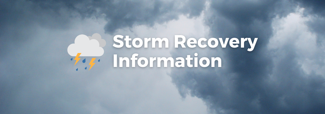 Report storm damage and view a list of recovery resources