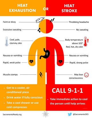 Symptoms of heat exhaustion and heat stroke. Call 911 to take immediate action.